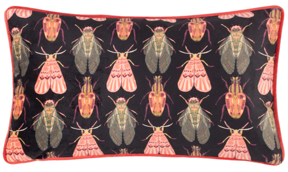 Kate Merritt - Bugs Multicolour £15.50 (10% off RRP)