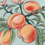 Anemone Peaches Cushion £9 (10% off RRP)