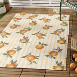 Outdoor/Indoor Fruits Oranges Rug £45 (10% off RRP)