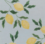 Outdoor/Indoor Lemons Rug £45 (10% off RRP)