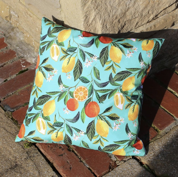 Orange Blossom Cushion £9 (10% off RRP)