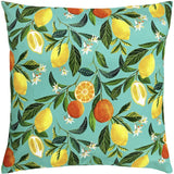 Orange Blossom Cushion £9 (10% off RRP)
