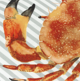 Salcombe Crab Piped £20 (10% off RRP)