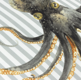 Salcombe Octopus Piped £20 (10% off RRP)