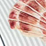 Salcombe Scallop Piped £20 (10% off RRP)