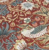 Morris & Co - Strawberry Thief Piped Cushion £16.50 (10% off RRP) 7 Colour Options