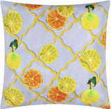 Citrus Trellis Cushion £8 (10% off RRP)