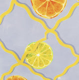 Citrus Trellis Cushion £8 (10% off RRP)