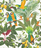 Rachel Fowler - Ni-Sha Parrots £102 (15% off RRP)