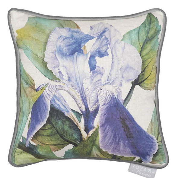 Marie Burke - Darwen Cornflower £17 (10% off RRP)