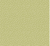 Imprint - Spotty
