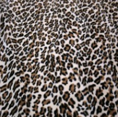 Wild - Cream Leopard £37.50 (15% off RRP)