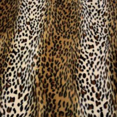 Wild - Cheetah £37.50 (15% off RRP)