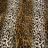 Wild - Cheetah £37.50 (15% off RRP)