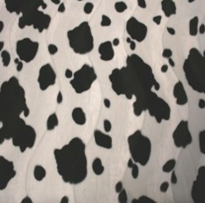 Wild - Black Cow £37.50 (15% off RRP)