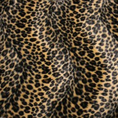 Wild - Sand Leopard £37.50 (15% off RRP)