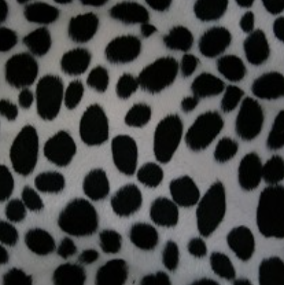 Wild - Dalmatian £37.50 (15% off RRP)